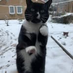 Profile Picture of Celia O Driscoll (@celia.odriscoll.10) on Facebook