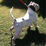 Profile Picture of Shawn Kennels (@shawn_corley) on Instagram
