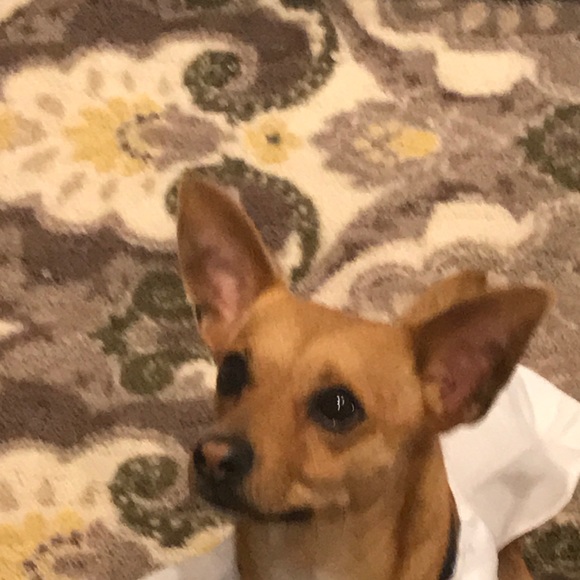 Profile Picture of Robert Karo (@robertk123) on Poshmark