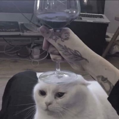 Profile Picture of Daniel Królikowski (@flknkrlikowski) on Twitter