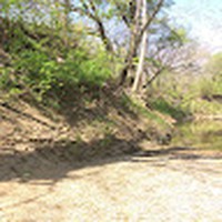 Profile Picture of Sam Jamshidi Nouri (@sam-jamshidi-nouri-1) on Quora