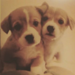 Profile Picture of Tabatha _Yates (@tabatha.yates) on Instagram