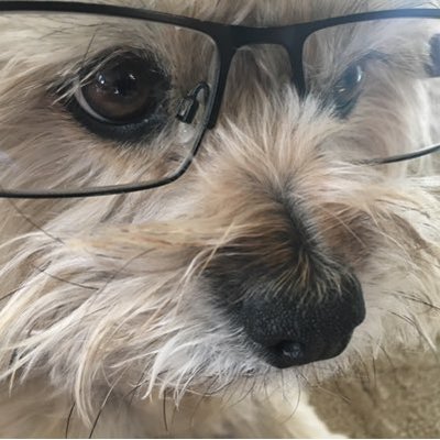 Profile Picture of Tyler Anders (@TAStudiosYT) on Twitter