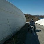 Profile Picture of Markku Niemi (@n.markku) on Instagram