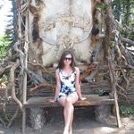 Profile Picture of Zurawski Carolina (@webloguebe) on Instagram