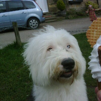 Profile Picture of M Pike (@darrenmpike) on Twitter