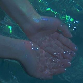 Weasel Todd - Facebook Profile Picture of Weasel Todd (@Weasel-Todd) on Facebook