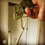 Profile Picture of Alexander Peacock (@alexj19578) on Instagram