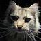 Profile Picture of Scott Terkelsen (@scott.terkelsen) on Facebook