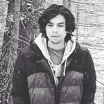 Profile Picture of David Reed (@thedavidreeds) on Instagram