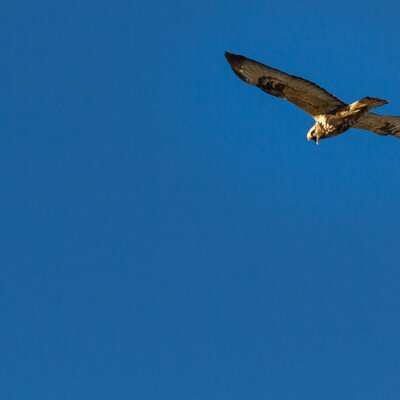 Profile Picture of Lars Lindqvist (@larsli68) on Twitter