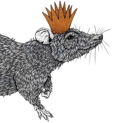 Profile Picture of Baron Exham (@BaronExham) on Twitter