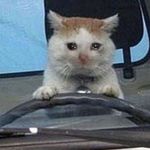 AK ★☇➹ - Instagram Profile Picture of AK ★☇➹ (@rred) on Instagram