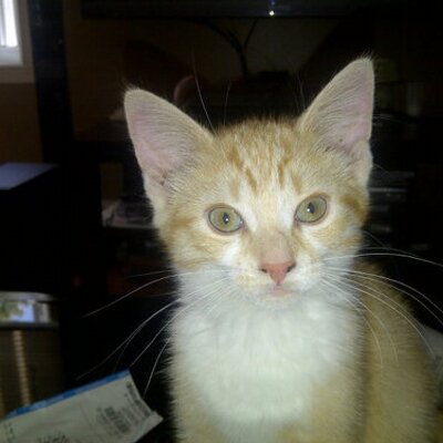 Profile Picture of Martin Lapierre (@martyboy1974) on Twitter
