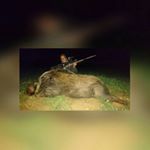 Profile Picture of Timothy Curle (@lion_hunter_pro) on Instagram