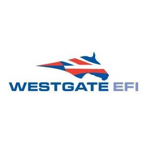 Profile Picture of Westgate EFI (@CoachMarcMan) on Twitter