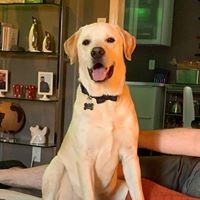Profile Picture of Joseph Womack (@joseph-womack-9) on Quora