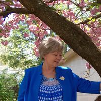 Profile Picture of Janice Lafollette Stearns (@janice-lafollette-stearns) on Quora
