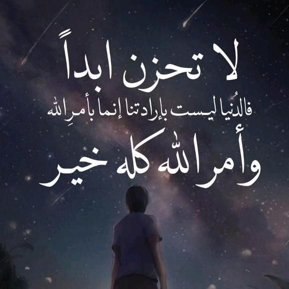 Profile Picture of GeoffreyFinch (@z0hrisre5jj) on Tiktok