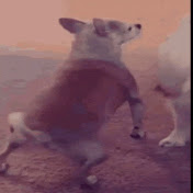 Profile Picture of Steven Oropeza (@stevenoropeza-r5q) on Youtube