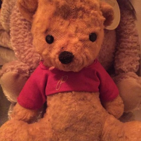 Profile Picture of Cindy Bertino (@cabertino1) on Poshmark