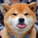 Profile Picture of Kailee Hamabata-Balais (@hamabatabalais) on Pinterest