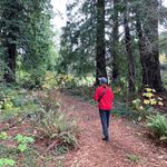 Profile Picture of Carly Wagner (@carlywagner_) on Instagram