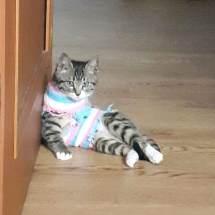 Profile Picture of suh (@suhsusan) on Tiktok