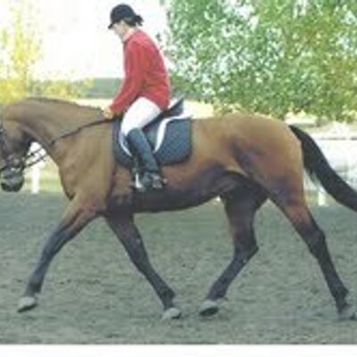 Profile Picture of Carole Poche (@@CarolePoche) on Twitter