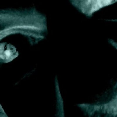 Profile Picture of Christopher Salyer (@salyerchris1971) on Twitter