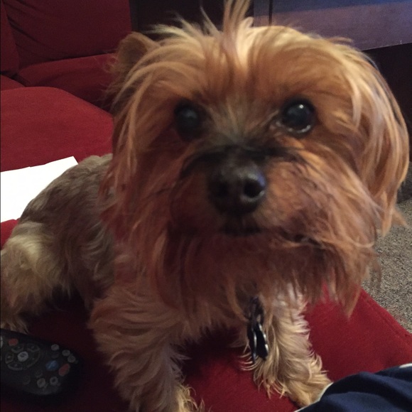 Profile Picture of Lindsey Drounette (@22lindseyd) on Poshmark