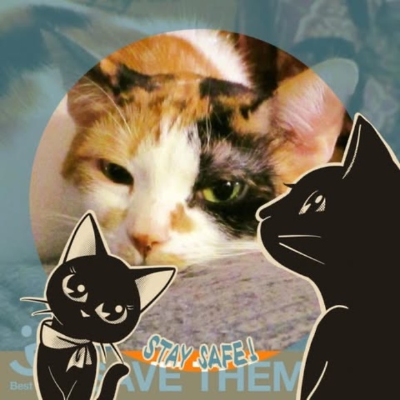 Profile Picture of Kathy Johnson colburn (@kathycolburn98) on Poshmark