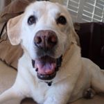 Drew Ashlock - Instagram Profile Picture of Drew Ashlock (@tenthingsihateaboutdrew) on Instagram