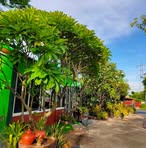 Profile Picture of Balcony Garden (@balcony.garden.538868) on Facebook