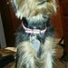 Profile Picture of Nah-Joni Huston (@n2ad4) on Pinterest
