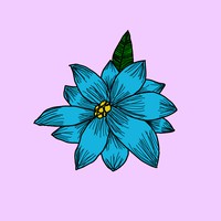 Profile Picture of Ash Lopez  (@ash-lopez-49) on Quora