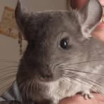 Profile Picture of Klaudia Łał (@Klaudia-Łał) on Facebook