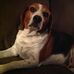 Profile Picture of Max Ralph (@max.ralph.79) on Facebook