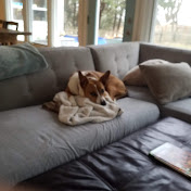 Profile Picture of Eric Brunner (@ericbrunner6357) on Youtube