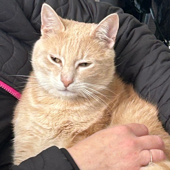 Julia Canfora - Poshmark Profile Picture of Julia Canfora (@juliacanfora) on Poshmark