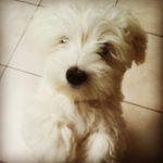 Profile Picture of Eliza Markowska (@elizamarkowska) on Instagram