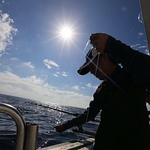 Profile Picture of Cheng Hsing Ho (@cheng hsing ho) on Flickr