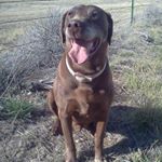 Profile Picture of John Wayne (@johnwayneperrin) on Instagram