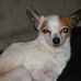 Profile Picture of Dave Haney (@dave.haney.399) on Facebook