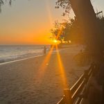 Profile Picture of Kathy Wilcox (@wilcox.kathy) on Instagram