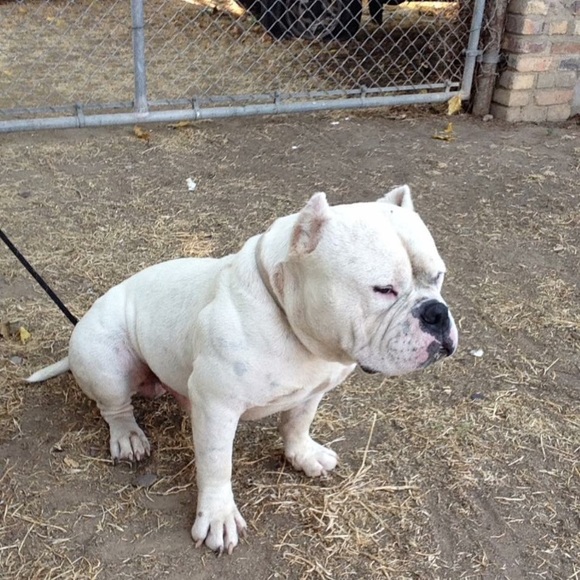 Profile Picture of Nathan Yang (@hmoobyaj1) on Poshmark