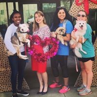 Profile Picture of Mackenzie Glava (@mackenzie-glava) on Quora