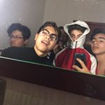 Profile Picture of Milo (@milosilva) on Instagram