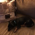 Profile Picture of Jeremy Cobb (@mama583929) on Instagram