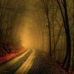 Dante Liggett - Instagram Profile Picture of Dante Liggett (@dante.liggett) on Instagram